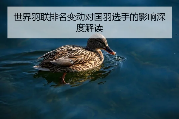 世界羽联排名变动对国羽选手的影响深度解读